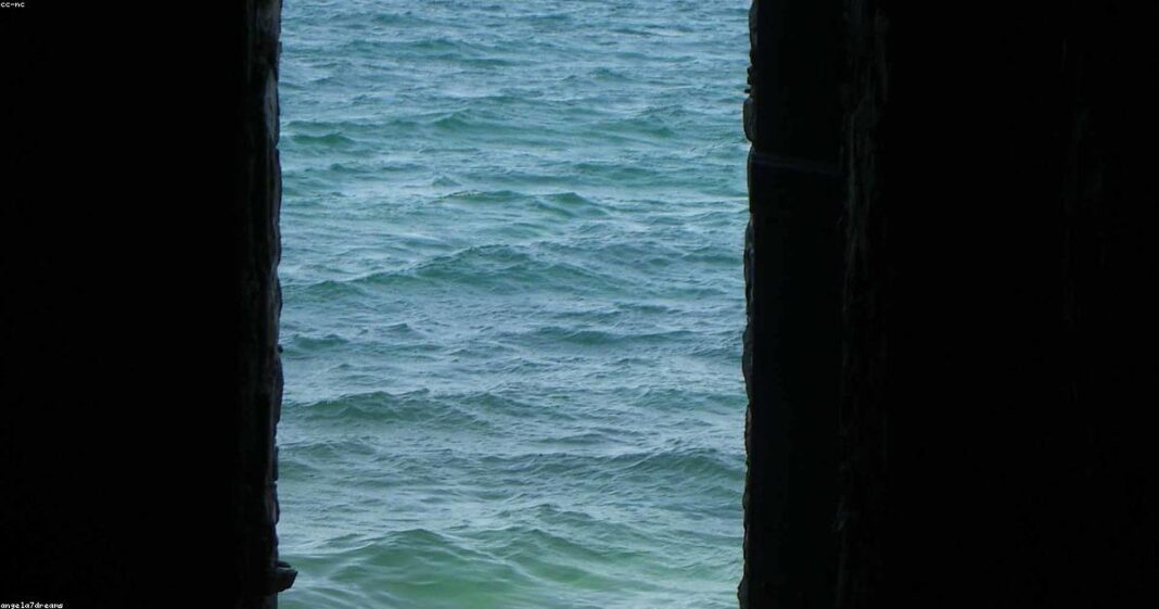 East African Community Launches New Digital Trade Platform to Boost Regional Commerce