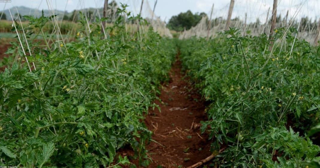 Ukame Mkali waathiri Maisha ya Mamilioni katika Ukanda wa Afrika Mashariki