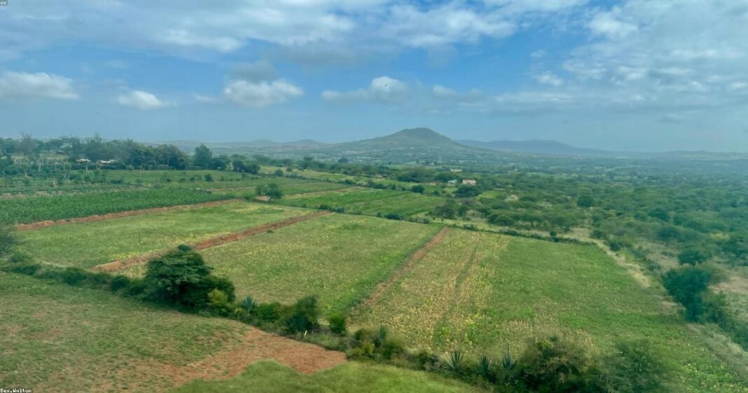 蒙内铁路运营五周年:中肯合作助力东非发展