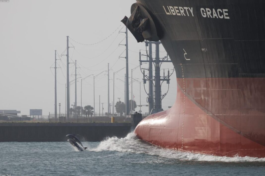 Kenya Caught in US-Iran Geopolitical Standoff as Hormuz Crisis Sparks Fuel Price Fears